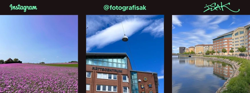 instagram logotyp länk grön text svart bakgrund 3 st fotografier. ett fält med rosa blommor, en byggnad och en bild på kanalen i Malmö